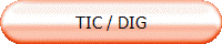 TIC / DIG