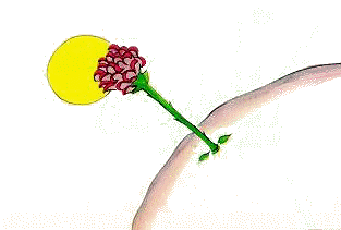-Si alguien ama a una flor de la que slo existe ms que un ejemplar entre los millones y millones de estrellas, es bastante para que sea feliz cuando mira a las estrellas.
